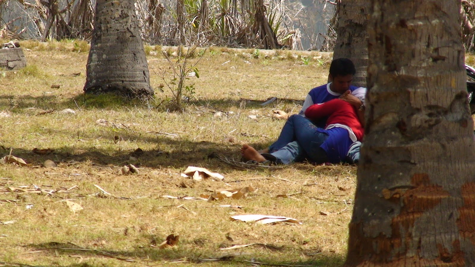 Hijab Viral SMP Indo Aku Mainin Putingnya Dari Belakang Kebun Sawit Top Global Wikwik 2026